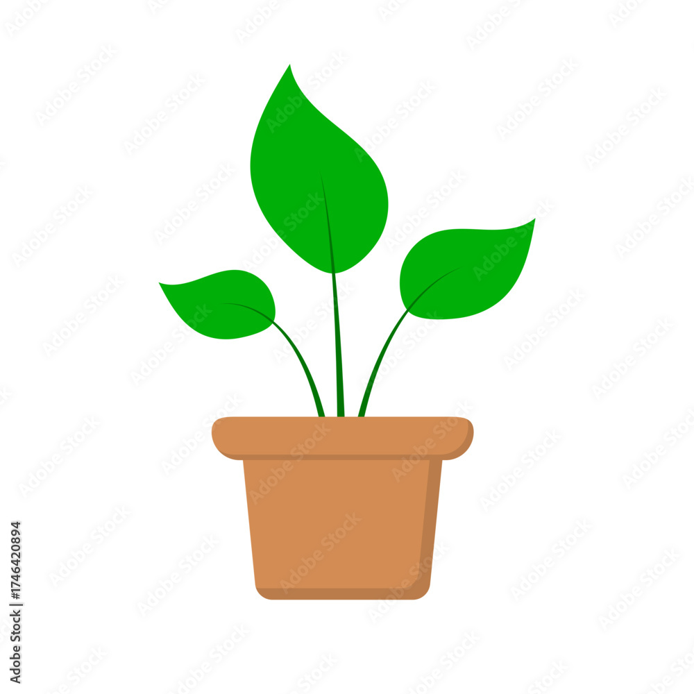 Fototapeta premium Potted Plant Icon Isolated on Transparent Background. Houseplant in Pot. Vector Illustration