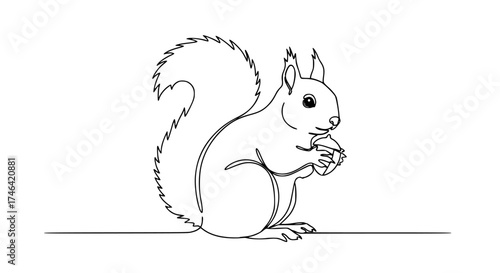 Minimalist continuous line drawing of a squirrel holding a nut, connecting tail and paws, forest gatherer