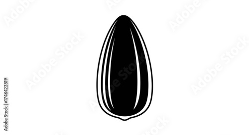 Isolated black and white sunflower seed graphic on white background