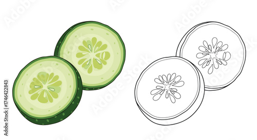 Freshly sliced green cucumber rounds with seeds showing.