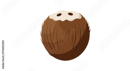 Isolated coconut illustration freshness and tropical fruit concept