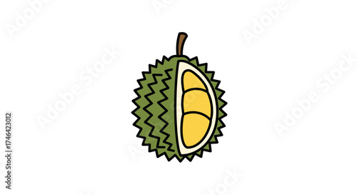 Isolated durian fruit illustration with detailed spikes and yellow flesh
