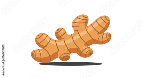 Isolated ginger root illustration against white background for culinary designs