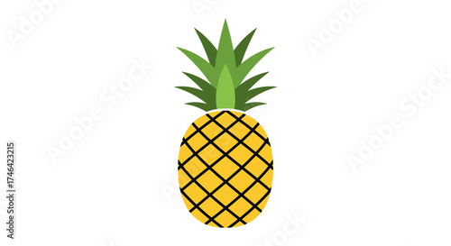 Isolated pineapple illustration on white background for design and use