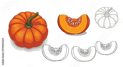 A whole pumpkin and several slices of pumpkin. A pumpkin is a large round orange fruit.