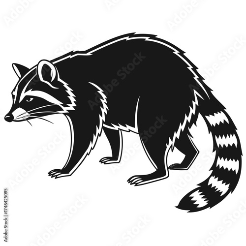 Stylized black and white raccoon illustration