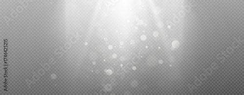 The vector set of light includes a light source, studio lighting, walls, and a PNG. It also includes spotlight lighting and a spotlight PNG. Finally, it includes light beams and a light effect.	
