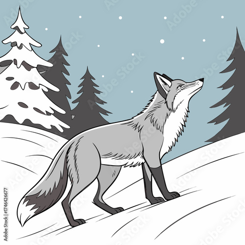 Vector art of a gray fox stands in a snowy winter landscape with pine trees and snowcovered hills, looking up in a whimsical and artistic illustration