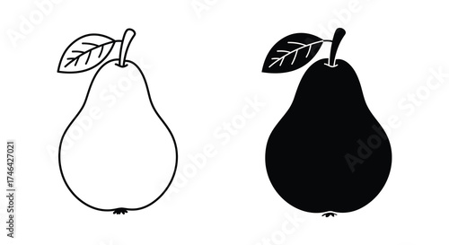 Two pears one outline one silhouette detailed sketch artistic rendering fresh fruit concept isolated graphic element silhouette