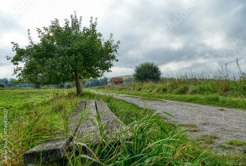 Bank an einem Wanderweg und Wiesen im Naturschutzgebiet in den Rieselfeldern in Münster