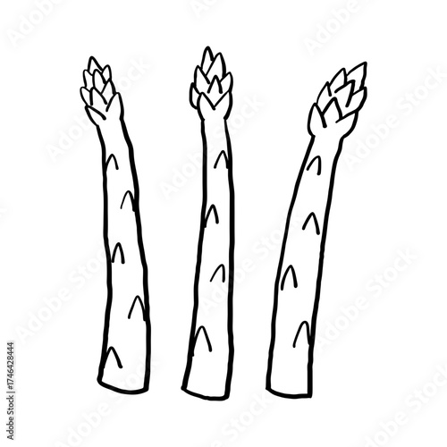 Simple Hand Drawn Asparagus