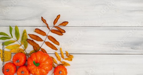 Autumn composition with pumpkins and fallen colorful leaves on white wooden background with place for text. 4K looped stop motion animation