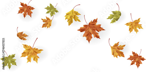 Falling Autumn Leaves