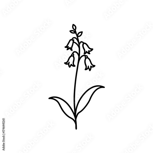 Simple flower with bell shaped bloom on transparent background