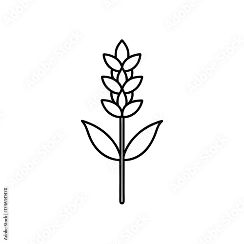 Simple outline drawing of a plant on transparent background