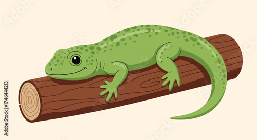A small green lizard rests on a wooden branch.