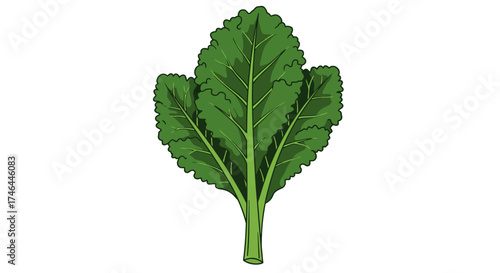 Vibrant green leaf illustration on white background for diverse applications