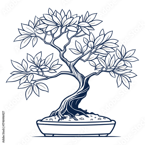 Elegant bonsai tree illustration