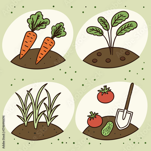Illustration of various vegetables growing in garden plots on light green background