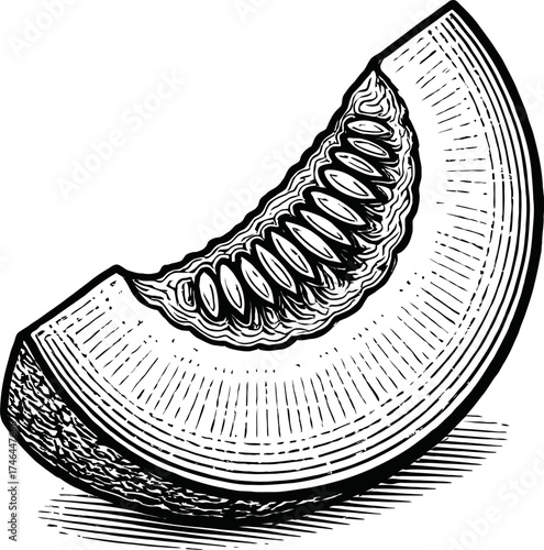 Black And White Slice Of Cantaloupe Fruit Showing Seeds And Texture