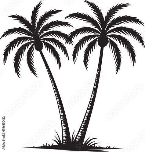 Palm Tree Silhouette Tropical Plant Isolated on Transparent