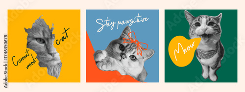 Cat faces collage set with funny quotes. Trendy retro  aesthetic in grunge punk style. Vector digital art collection for posters, stickers, prints, and modern design.