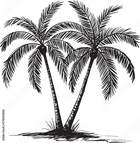 Pair Palm Trees Silhouette Tropical Vacation Island Landscape Scene