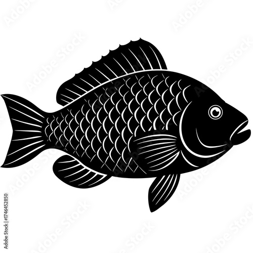 "Tilapia Fish Vector | Generative AI & Linocut Silhouette Design"