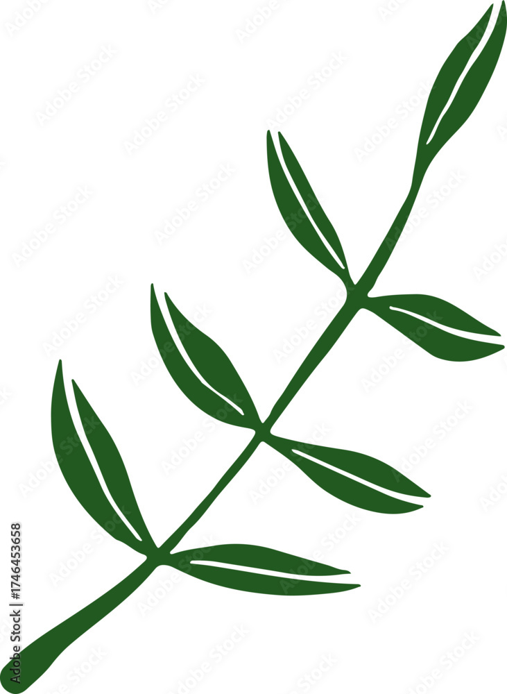 Fototapeta premium Leaves Twig