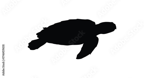 Silhouette of a majestic sea turtle swimming gracefully through clear blue ocean waters underwater wildlife silhouette