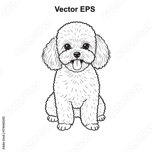 Vector art of cute poodle dog sitting and looking forward