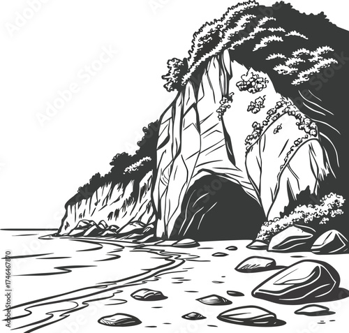 Vector illustration of nautilus and ammonite sea shells, isolated marine animal and fossil mollusk shells in a spiral nature vector illustration