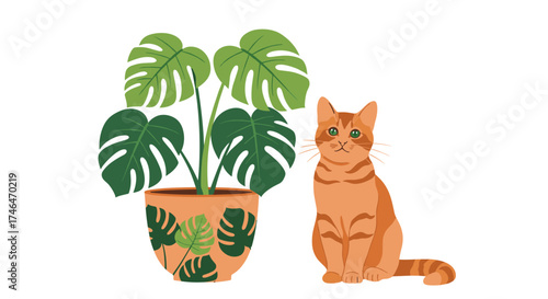 A potted monstera deliciosa plant stands next to an orange tabby cat.