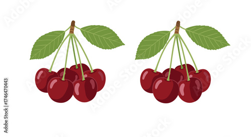 Two bunches of fresh red cherries with green leaves.