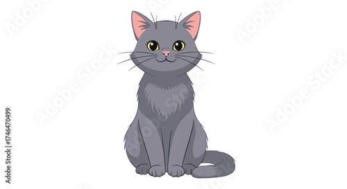 A cute and fluffy grey cat sitting and looking forward.