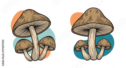 A collection of stylized brown mushrooms with rounded caps on stems on a white background.