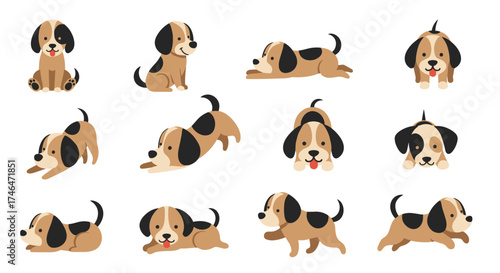 A collection of playful puppies in various cute poses.