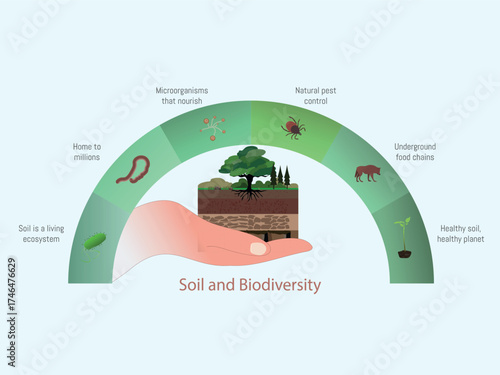 Soil biodiversity illustrating ecological functions supporting healthy planet