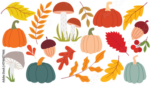 Autumn set of natural forest elements. Clip art collection: mushrooms, pumpkins, rowan berries, acorns, tree branches, and leaves. Fall season illustrations isolated on white background, vector graphi