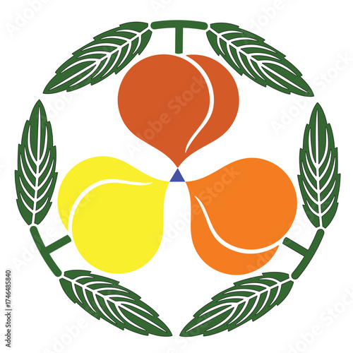 Ripe apricots with green leaves vector illustration fruit food apricot vector illustration leaf nature design healthy fresh orange summer ripe natural plant green juicy sweet