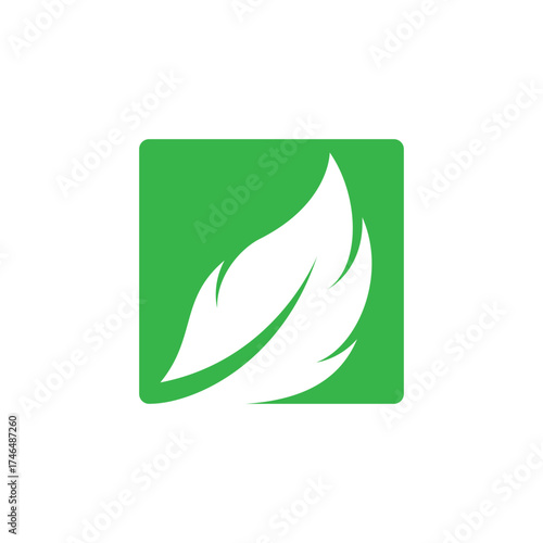 fresh leaf logo design for natural life