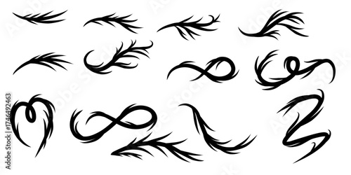 Elegant flowing flourishes and decorative design elements create a modern abstract flair for branding and artistic projects, perfect for logos and invitations