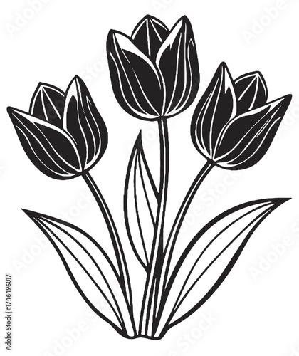 Elegant black and white illustration of three blooming tulips with leaves