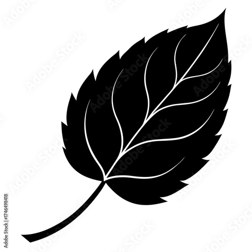 vector leaf silhouette