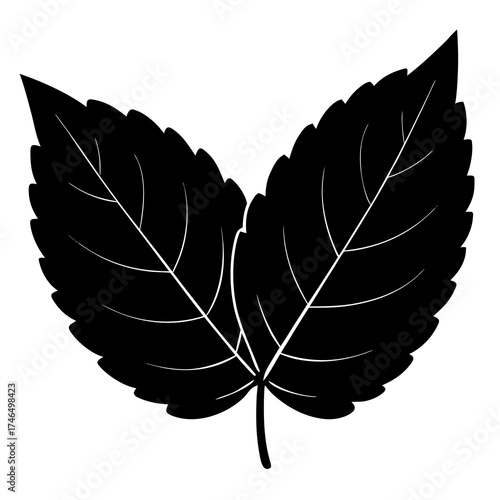leaf silhouette vector