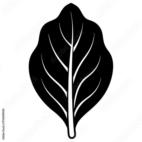 vector illustration of a leaf