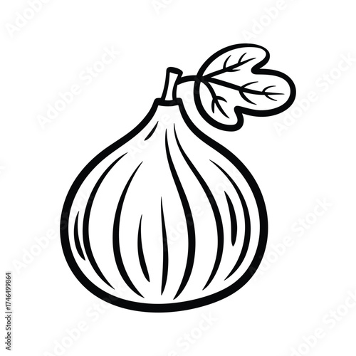 Fig Fruit Vector Illustration Healthy Food Fresh Sweet Ingredient Design