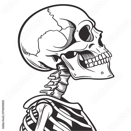 skull and bones