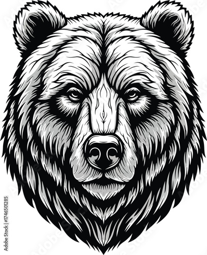 Detailed black and white illustration of a fierce grizzly bear's head with intense eyes and detailed fur texture