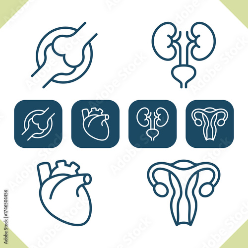 Internal Organs Icons